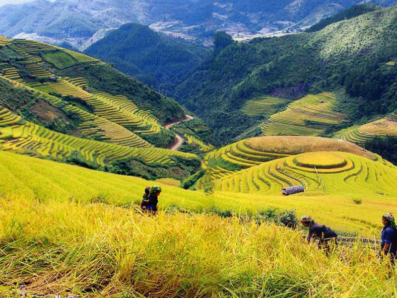 Thung lũng Mường Hoa