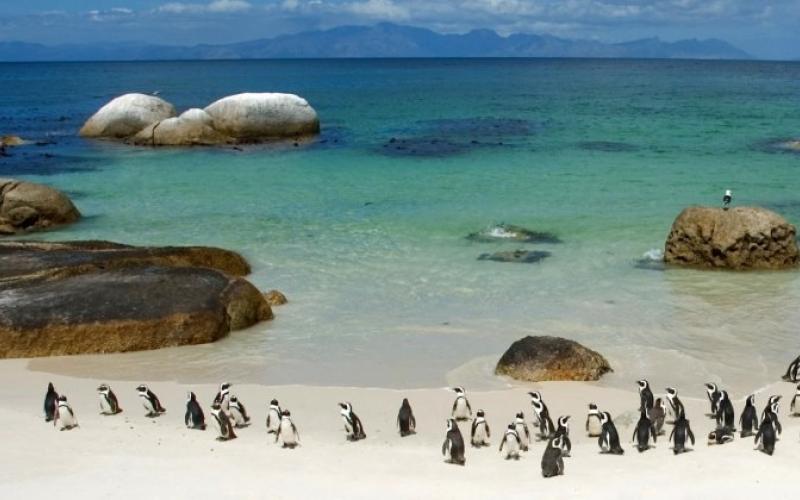 cape town