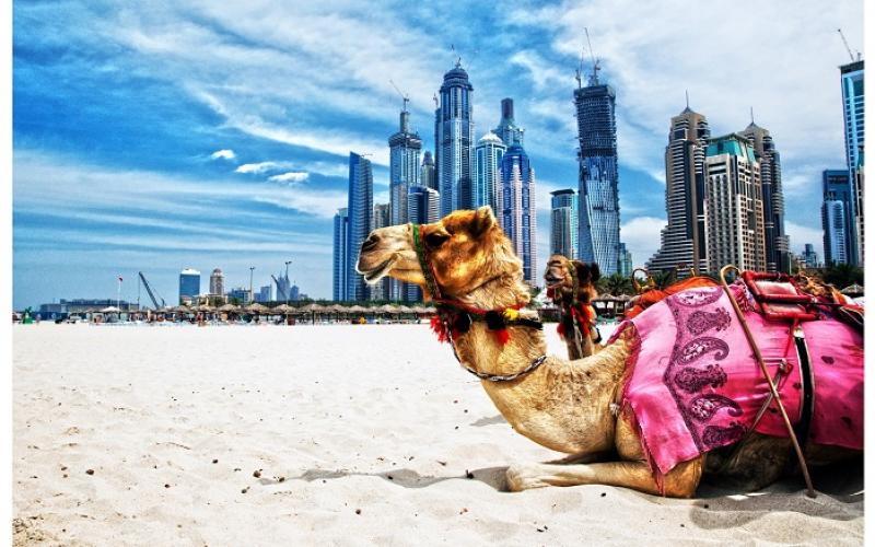 Tràng An Travel khuyến mãi tour du lịch Dubai với giá sốc, chỉ 22.900.000 đồng tại VITM 2019