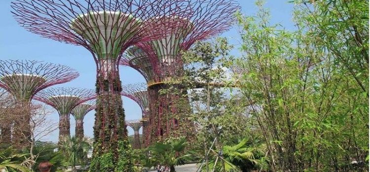 Khám phá 10 điểm vui chơi giải trí tuyệt vời nhất ở Vịnh Marina