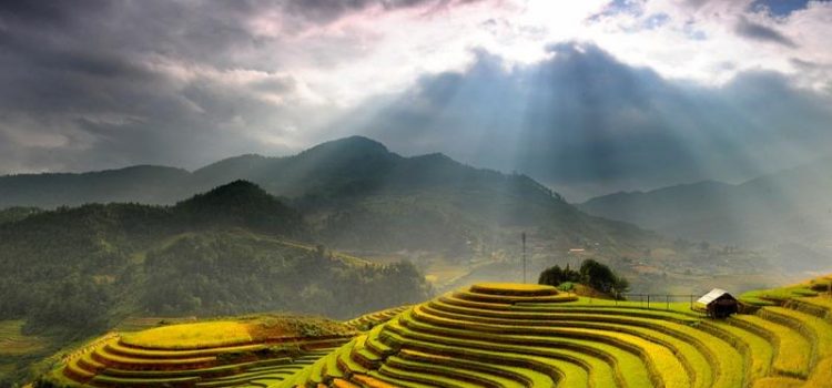 Khám phá vẻ đẹp của Hoàng Su Phì mùa lúa chín vàng