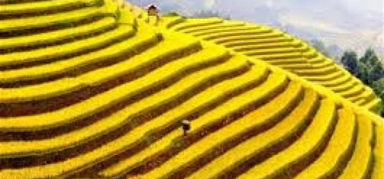 Tour du lịch Hà Giang 3n2đ