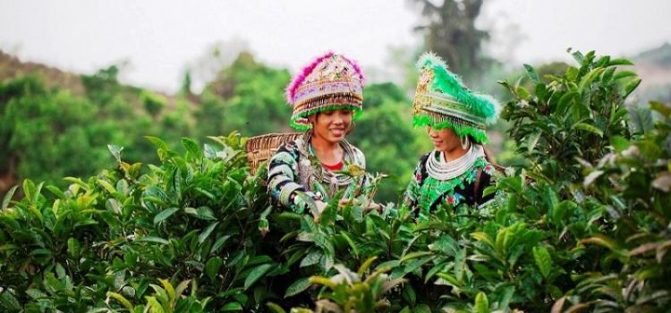 Khám phá vẻ đẹp bất tận của miền Bắc Việt Nam