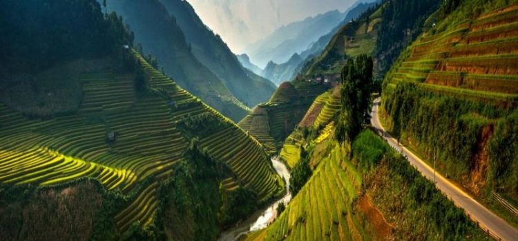 Tour du lịch Yên Bái: Mù Cang Chải - Đèo Khau Phạ - Tú Lệ 2n1đ, khởi hành hàng ngày