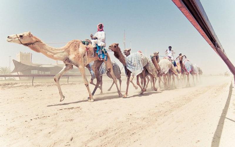 Du lịchHa Qatar - Đất nước huyền bí