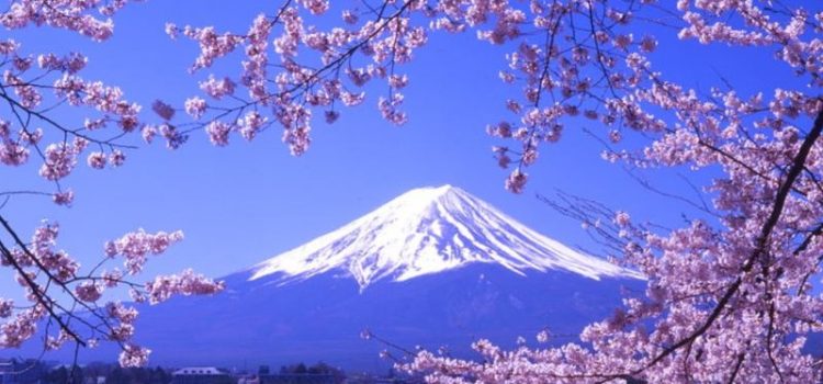 Đến Nhật Bản nhất định phải ghé thăm Hakone