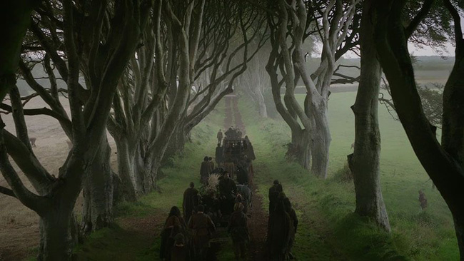 Dark Hedges, Ballymoney, Ireland: Game of Thrones