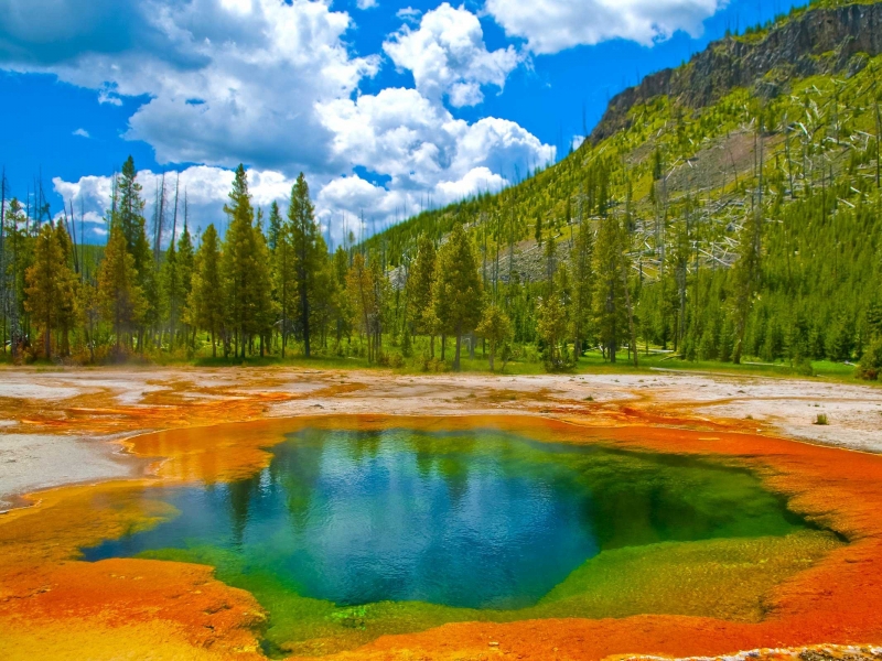 Công viên Quốc gia Yellowstone