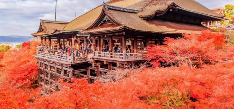 Kyoto và những trải nghiệm bạn không nên bỏ lỡ