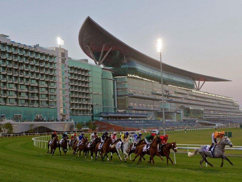 Meydan