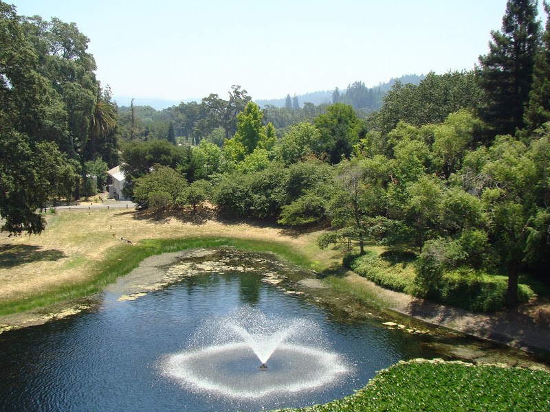 Thung lũng Napa và Sonoma