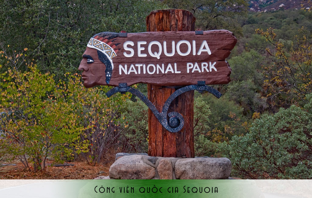 Công viên quốc gia Sequoia