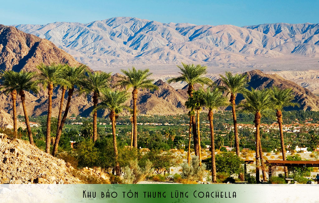 Khu bảo tồn thung lũng Coachella