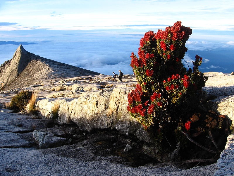 nui Kinabalu