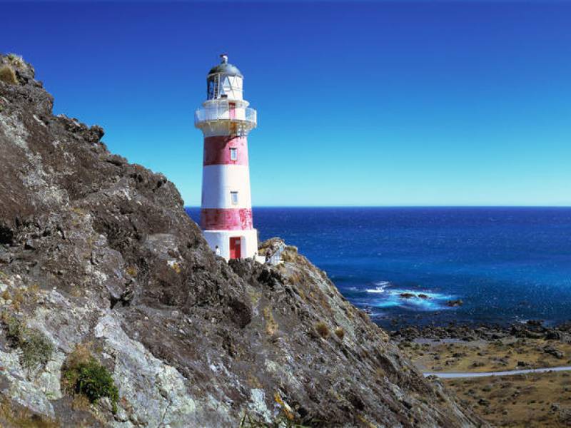 Cape Palliser