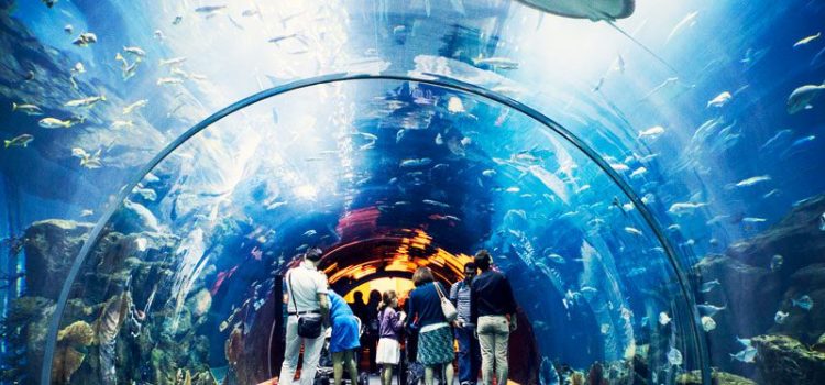 Dubai Aquarium