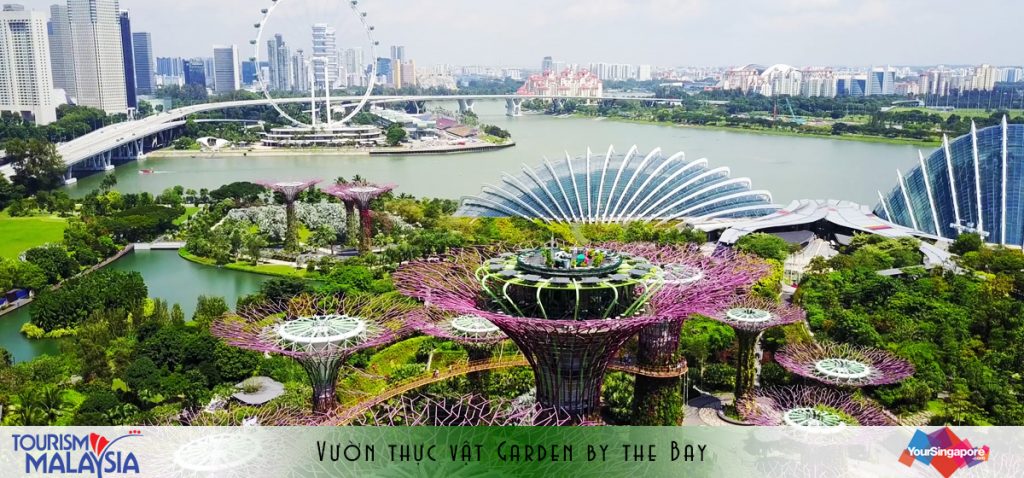 Vườn thực vật Garden by The Bay, Singapore
