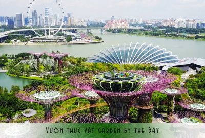 Vườn thực vật Garden by The Bay, Singapore