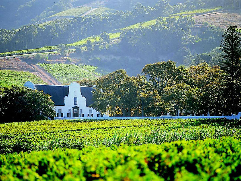 Cape Winelands