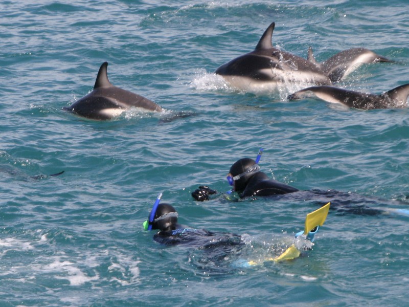 Kaikoura