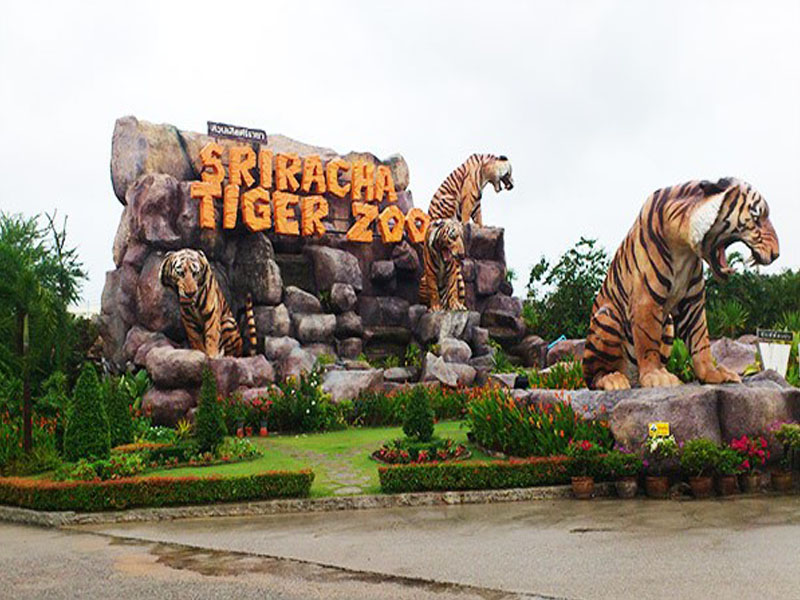 Trại Hổ Sriracha Tiger Zoo