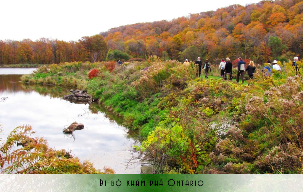 Đi bộ khám phá Ontario