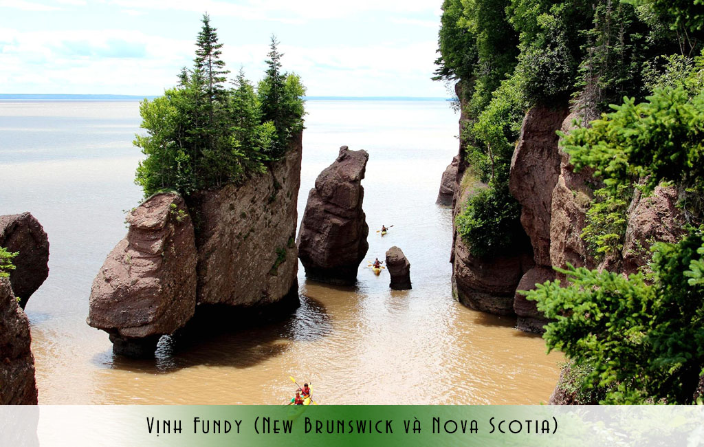 Vịnh Fundy