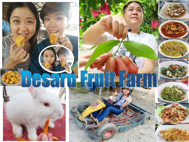 Desaru Fruit Farm 1