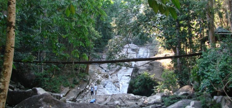 Khám phá công viên thiên nhiên Gunung Stong, Malaysia