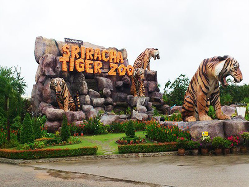 Siracha Tiger Zoo