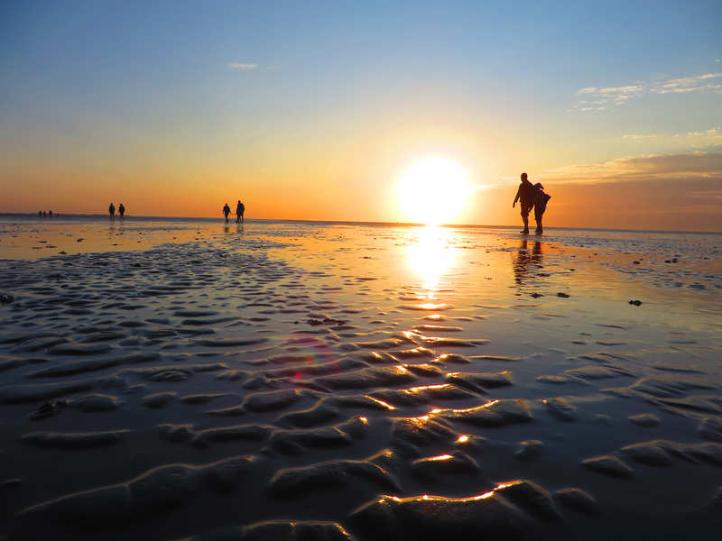 Waddenzee