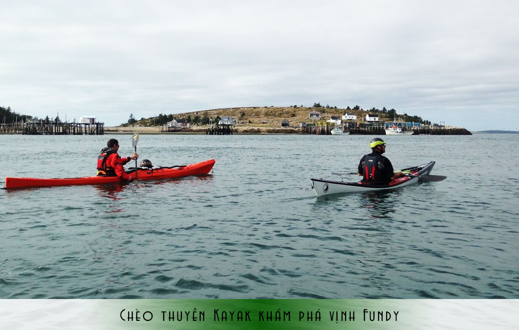 Chèo Kayak khám phá vịnh Fundy