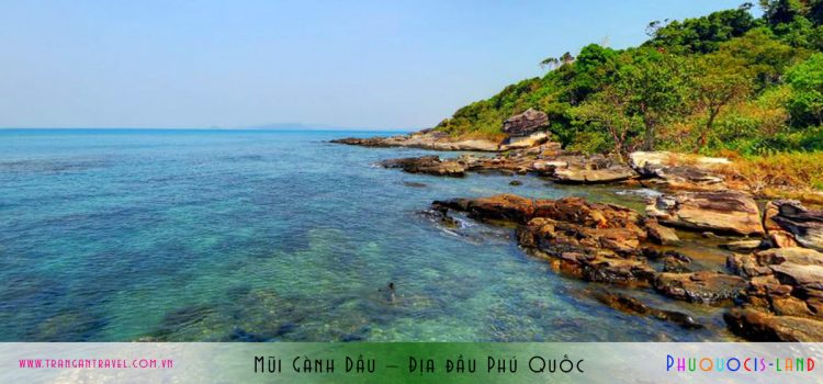 Combo Hà Nội – Phú Quốc 4n3đ, bay BB + phòng khách sạn Vin Oasis Phú Quốc