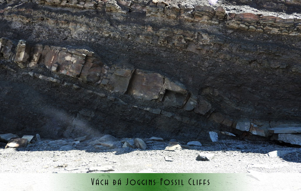 Tham quan vách đá Joggins Fossil Cliffs