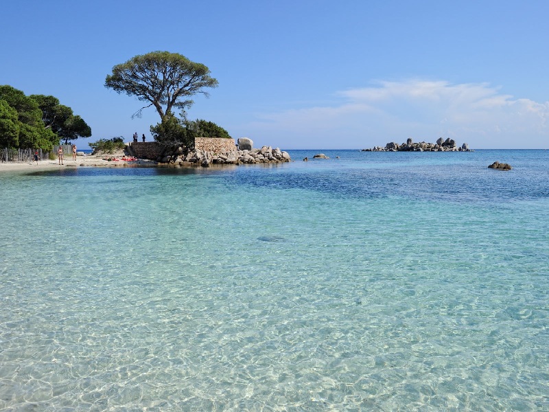 Biển Palombaggia, Porto Vecchio, Corsica