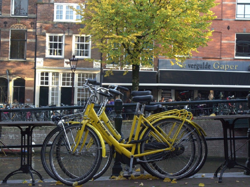 Khóa xe đạp cẩn thận khi đi du lịch Hà Lan tự túc