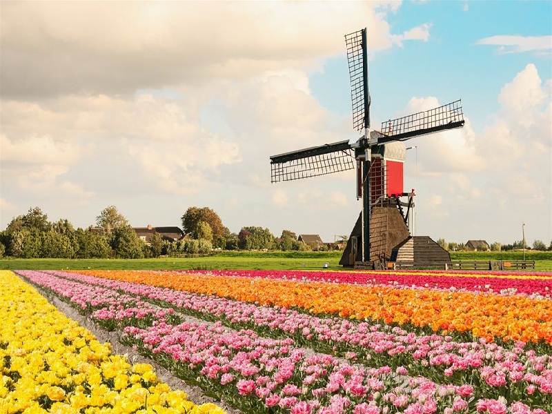 Nên đi du lịch Hà Lan vào mùa nào
