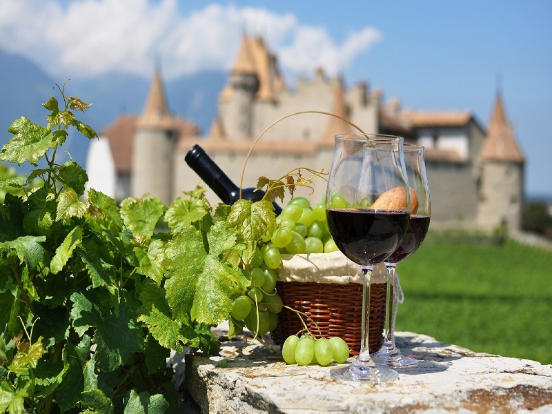 Thưởng thức rượu vang ở Bordeaux khi đi du lịch Pháp tự túc