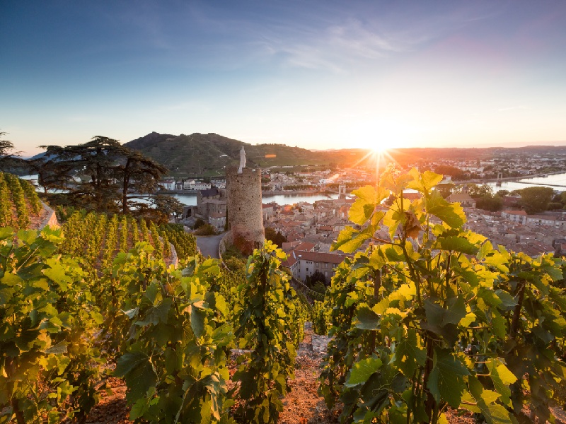Tournon-sur-Rhône