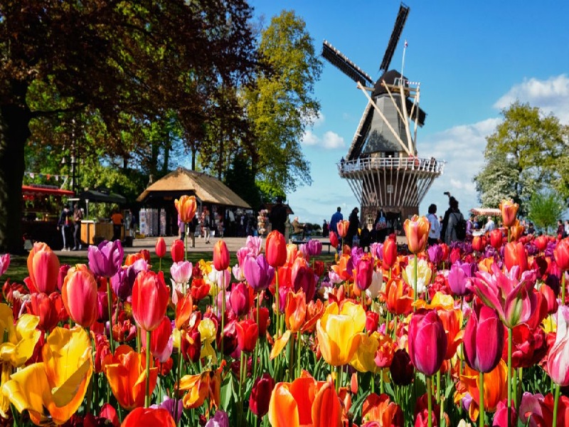Đi du lịch Hà Lan vào mùa xuân