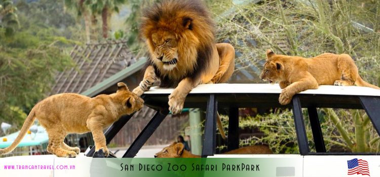 San Diego – những điểm dừng chân cho du khách