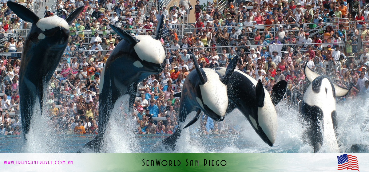 SeaWorld San Diego