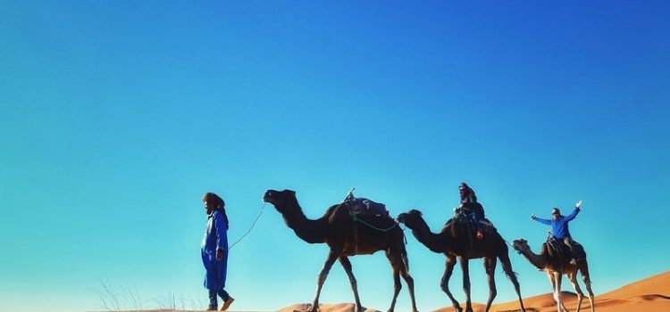 Leo lên lưng lạc đà đi dạo quanh Sa mạc Sahara