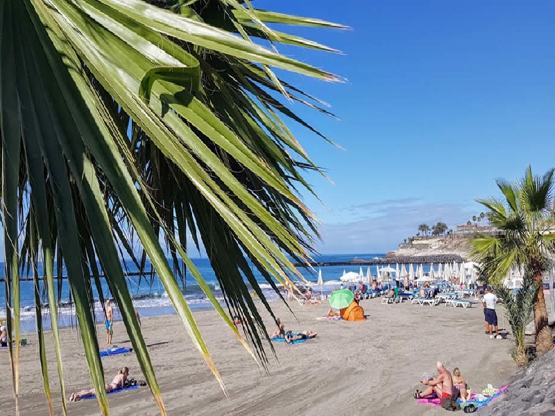 Tenerife, Đảo Canary, Tây Ban Nha