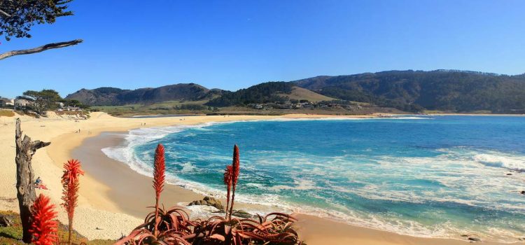 Bạn sẽ chọn bãi biển nào khi du lịch California ?