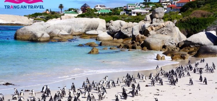 Boulders Beach