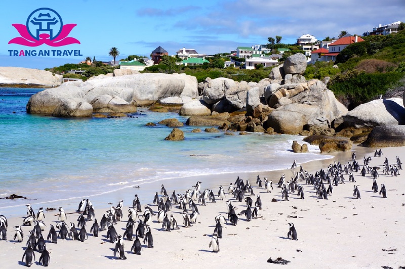 Boulders Beach