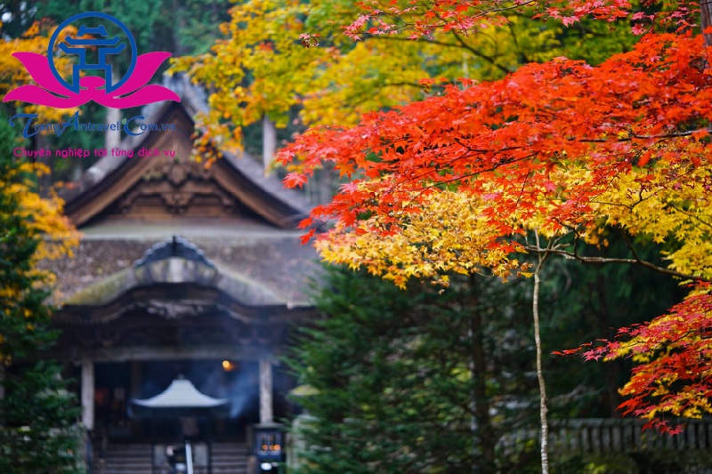Du lịch Nhật Bản mùa thu