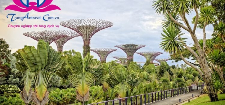 Gardens by the Bay: Khu vườn thực vật khổng lồ đẹp nhất Singapore