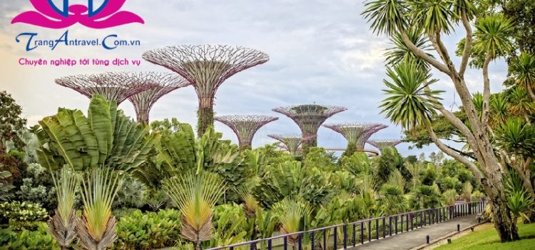 Gardens by the bay, Singapore